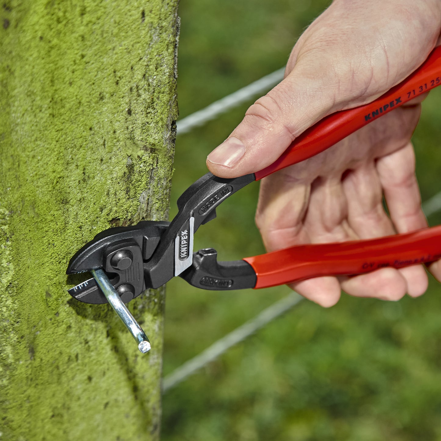 Knipex 71 31 250 CoBolt® High Leverage XL Compact Bolt Cutters-Notched Blade - image 21