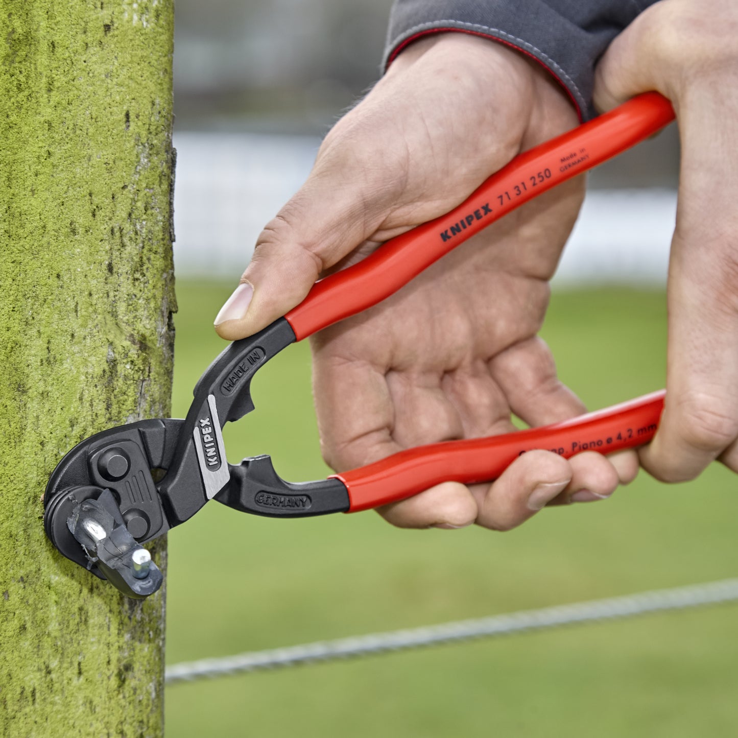 Knipex 71 31 250 SBA CoBolt® High Leverage XL Compact Bolt Cutters-Notched Blade - image 20
